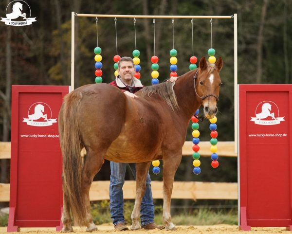 Lucky Horse Bälletor